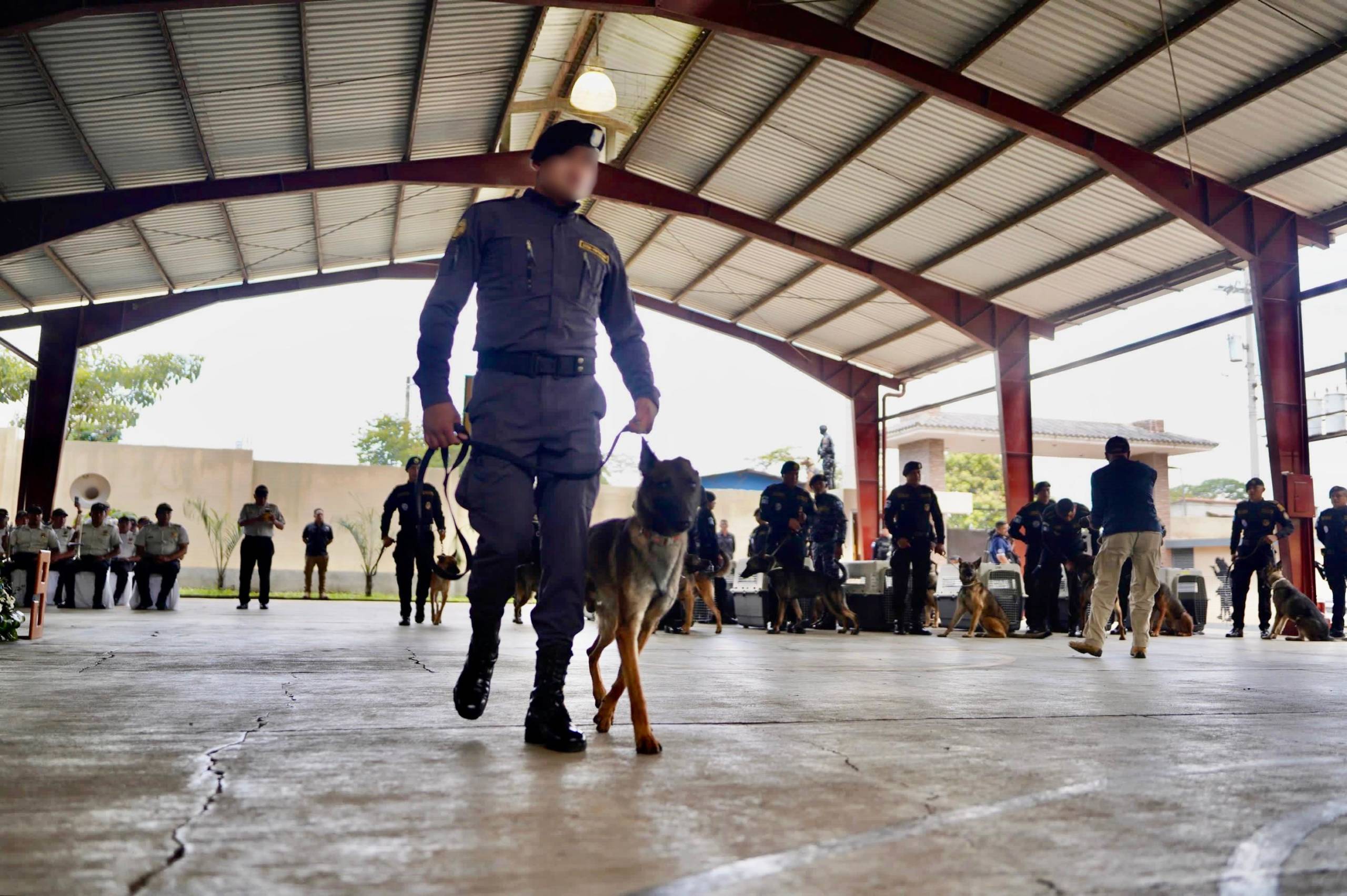 Guardias penitenciarios reciben Curso Intermedio Nacional e Internacional para Guías Caninos
