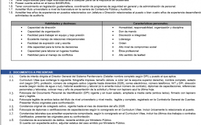 CONVOCATORIA EXTERNA No. 002-2026 Puesto Funcional de Auditor Interno